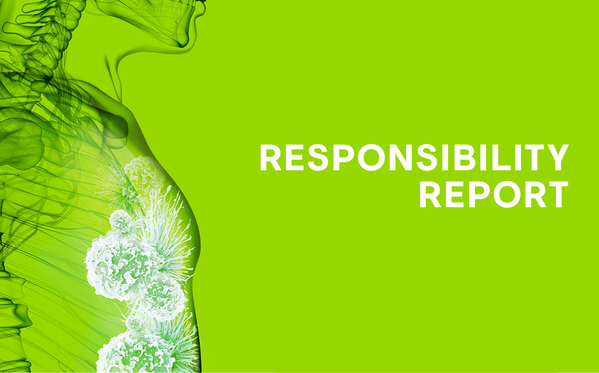 Rapport sur la responsabilité 2024