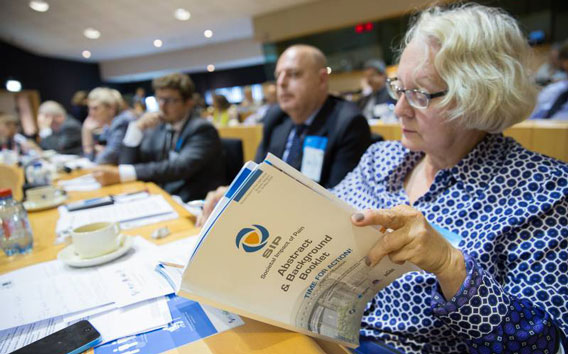 Impact sociétal de la douleur (SIP)